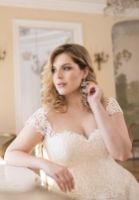 Plus Size Plus Size